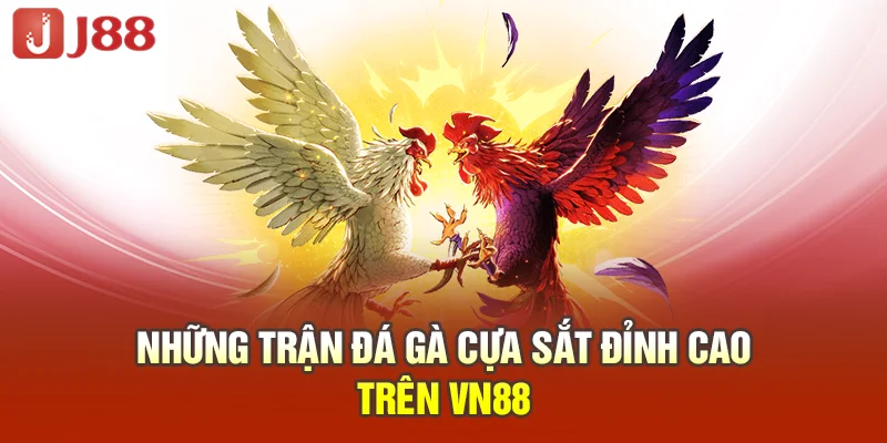 JJ88 – ĐIỂM ĐẾN CÁ CƯỢC THẾ HỆ MỚI - TẶNG NGAY 88K Những trận đá gà cựa sắt đỉnh cao trên JJ88